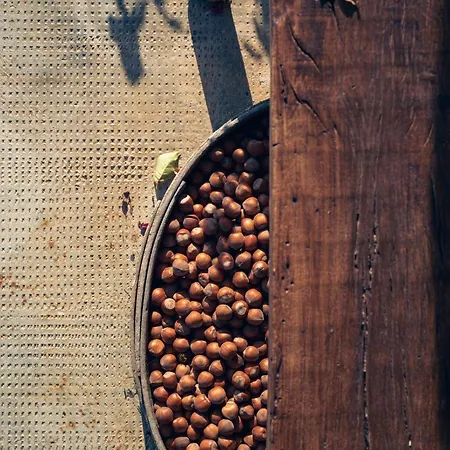 B&B Cascina Cortassa